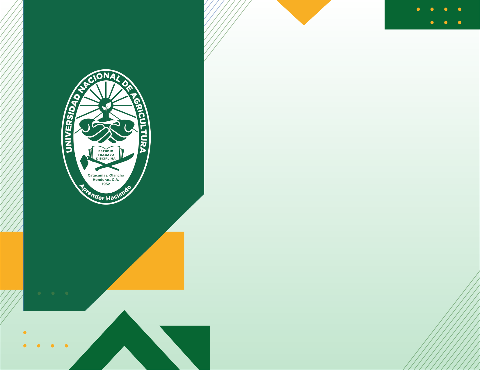 Vista previa de Diploma — Modelo 1