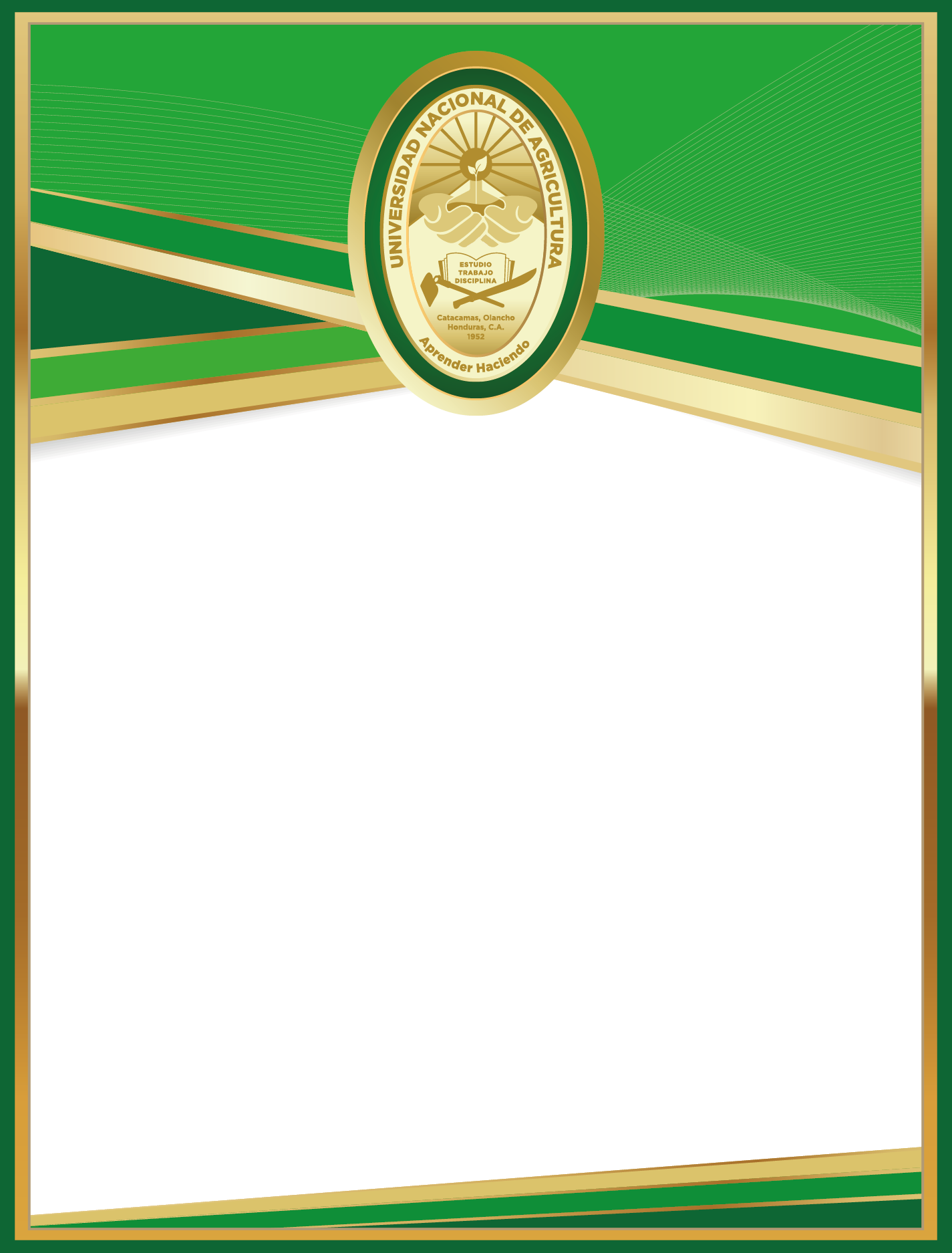 Vista previa de Reconocimiento - Modelo 2