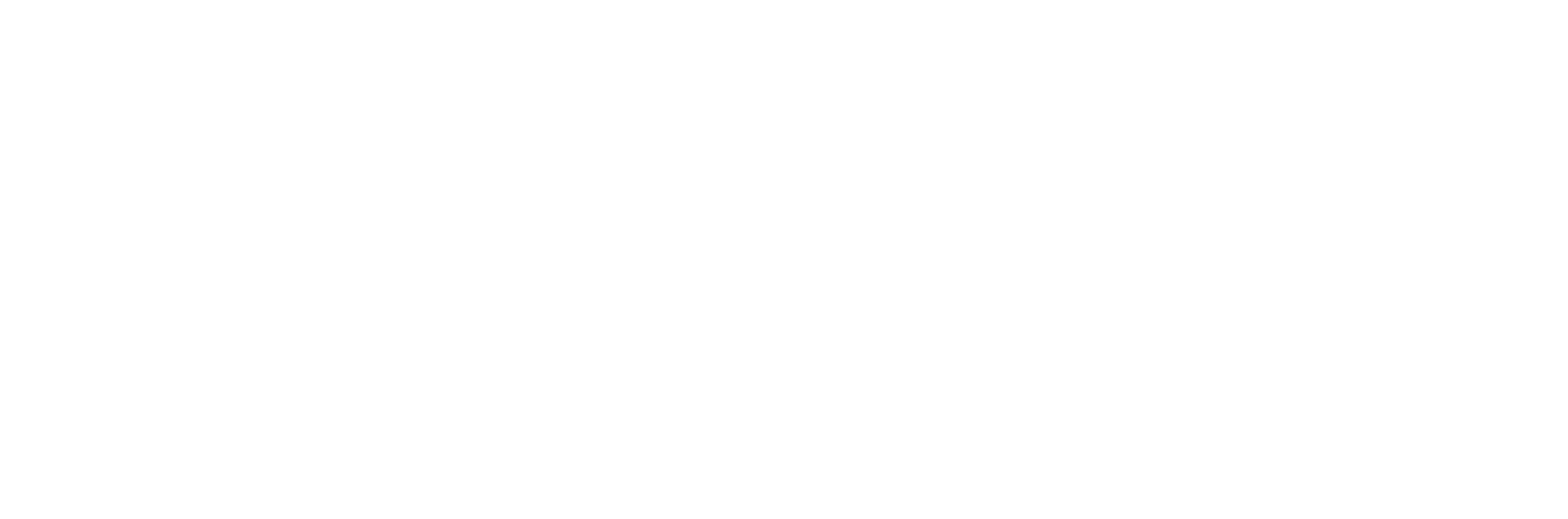 UNAG Logo